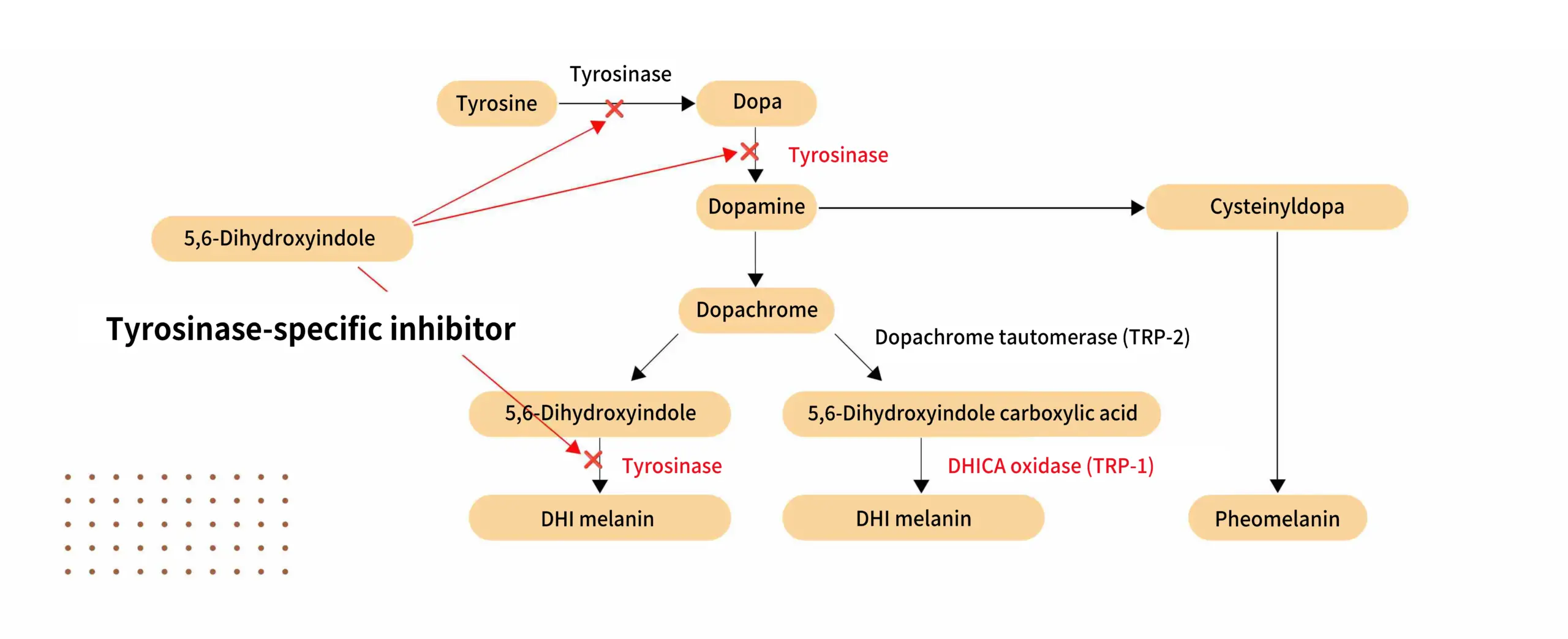 nano delivery system helps whitening actives reach target skin layers