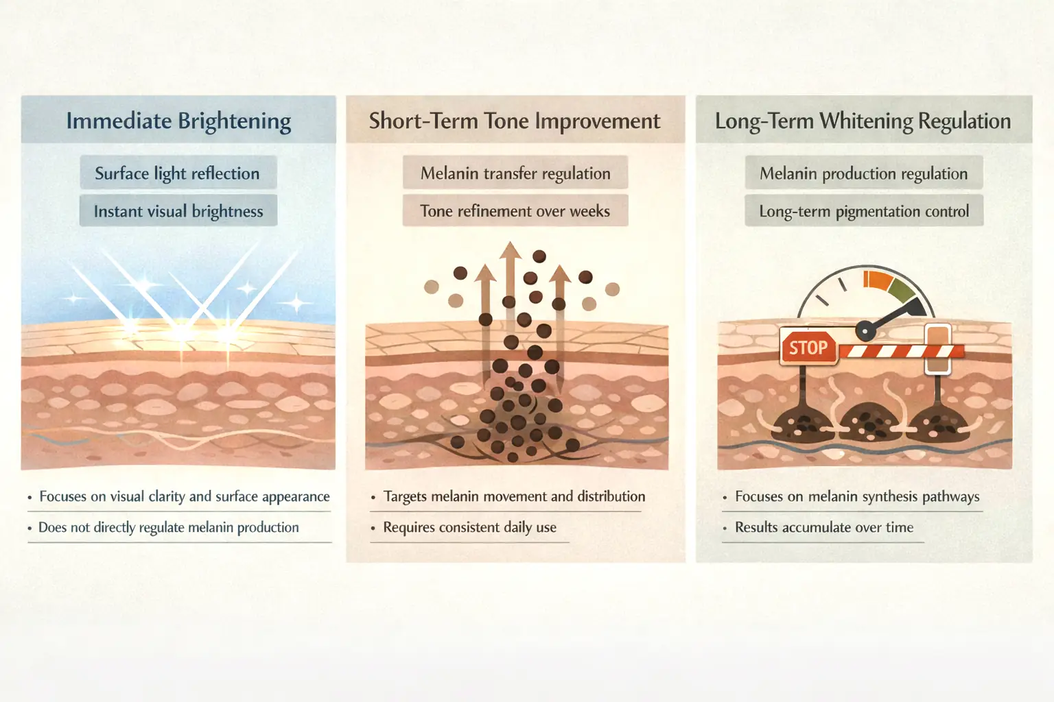 Diagram showing immediate brightening, short-term tone improvement, and long-term pigmentation regulation pathways in whitening skincare
