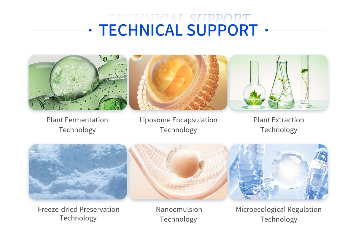 cosmetic formulation technologies including fermentation liposome nano delivery and microbiome skincare