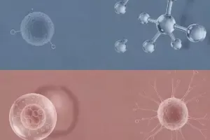 How Fermented Peptide Actives Support Anti-Aging Skincare OEM Development