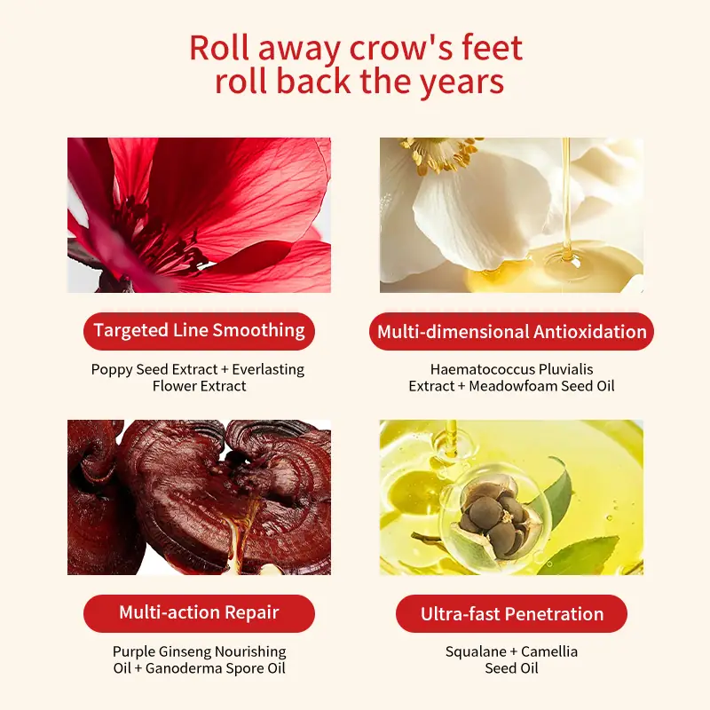 Botanical Ingredients for Anti-Aging Eye Oil Natural ingredients like Papaver Rhoeas and Sea Fennel for eye care formula
