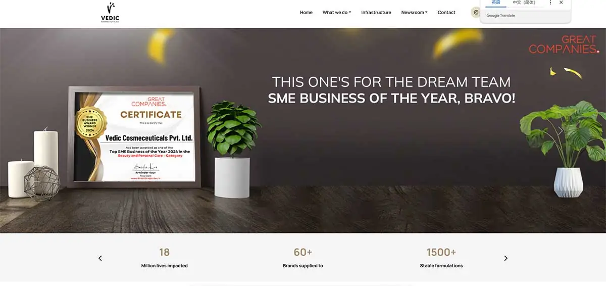 Screenshot of Vedic Cosmeceuticals website showing private label skincare, facial cleanser, baby care, and personal care manufacturing support