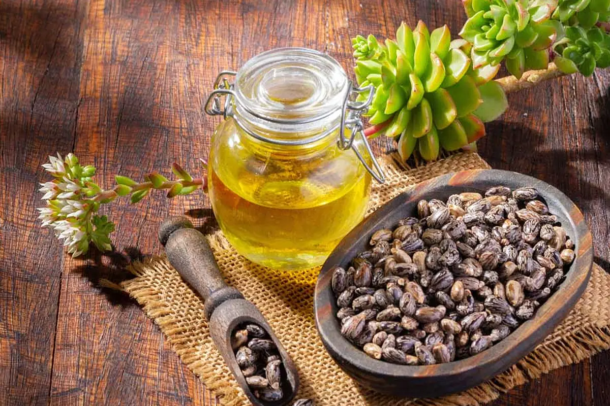 Castor seeds and castor oil for private label castor hair growth oil and rich scalp treatment formulas