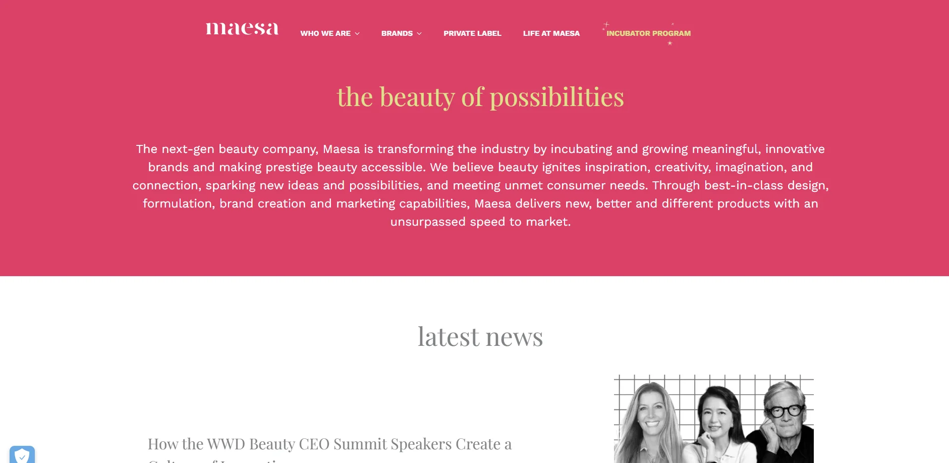 Screenshot of Maesa Group website representing large-scale beauty manufacturing, private label makeup, retail beauty development, and brand incubation support