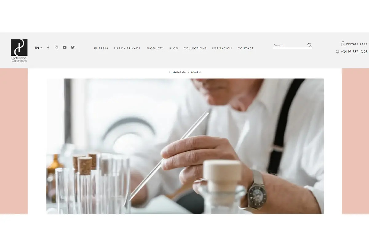 Screenshot of Profesional Cosmetics, a Spanish private label hair products manufacturer for professional hair care brands