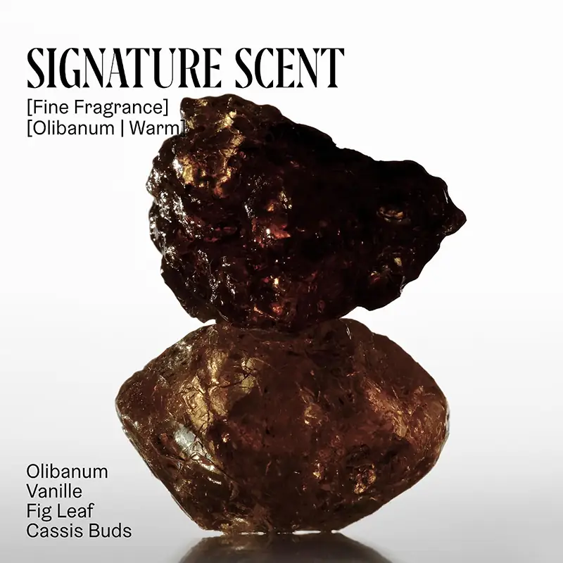 Olibanum scented body lotion with warm fragrance notes vanilla fig leaf and cassis buds