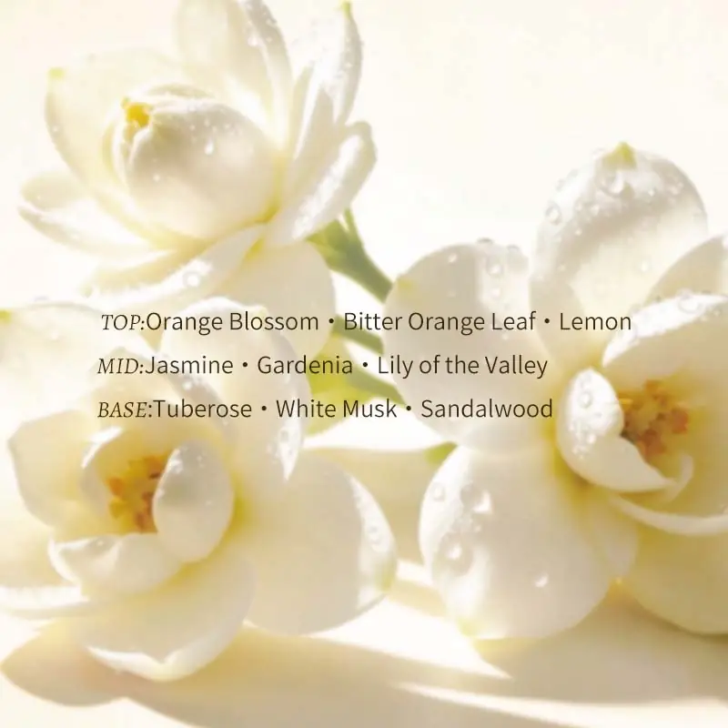 Private label jasmine body lotion fragrance notes