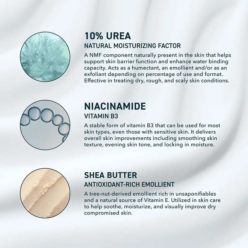 Urea niacinamide and shea butter body lotion ingredients